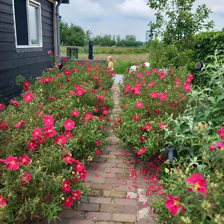 't Jisper Bed & Breakfast 3*