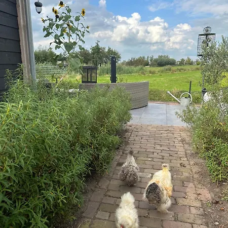 Bed & Breakfast 't Jisper